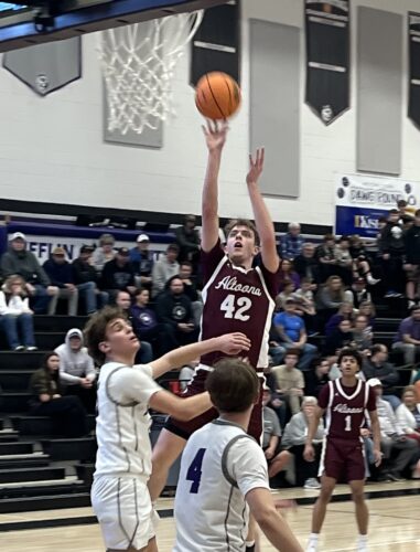 Huskies end Lions’ basketball campaign